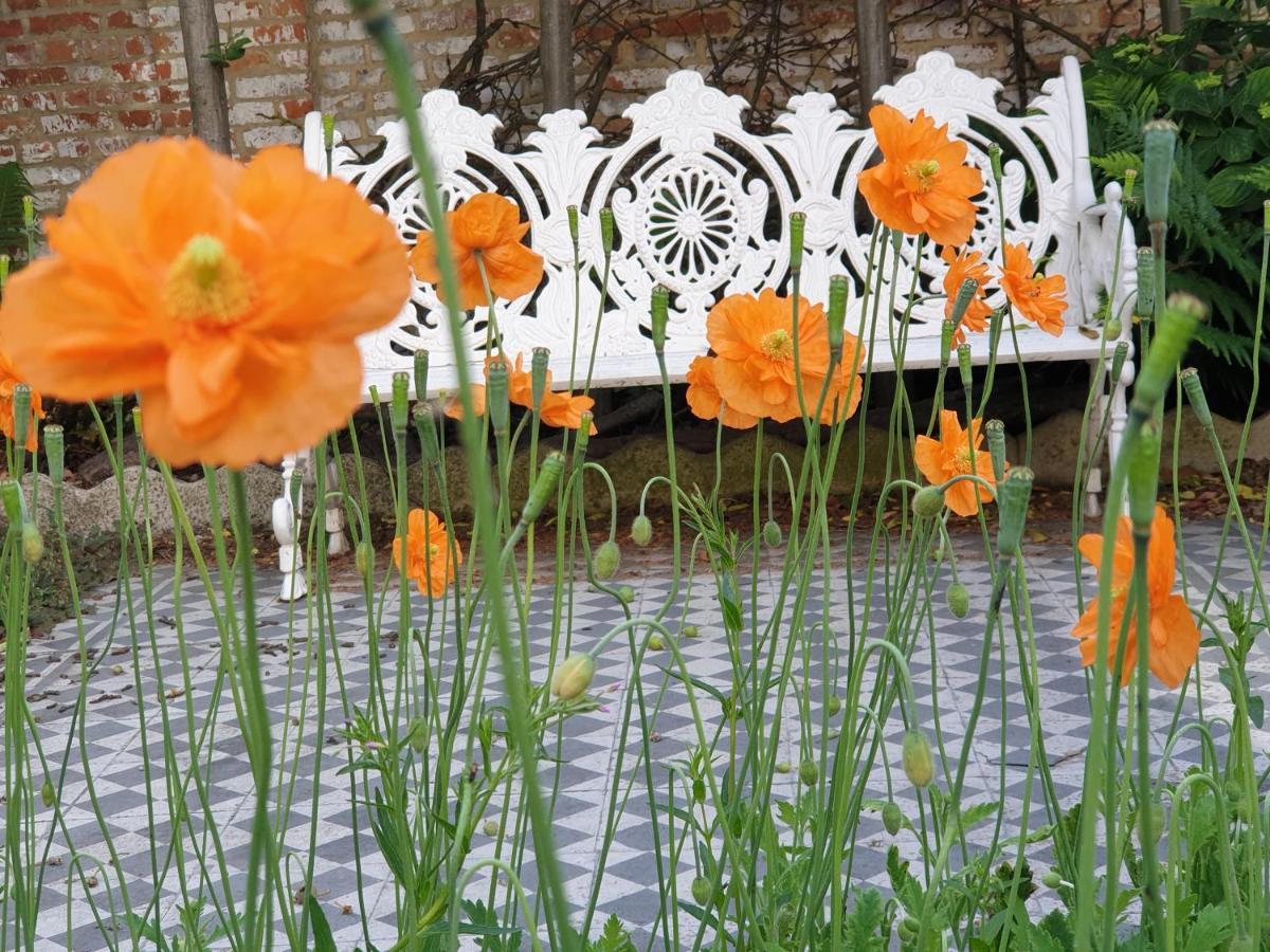 Bed & Breakfast Exterlaer Antwerp Luaran gambar
